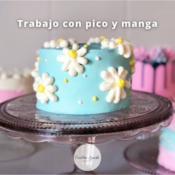 Clase grabada Decoración de tortas (35% OFF) - Imagen 5